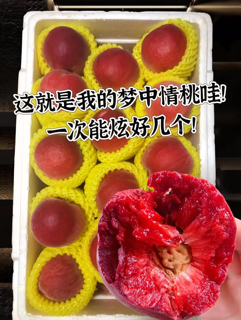 抖音桃什么名的屏障主播