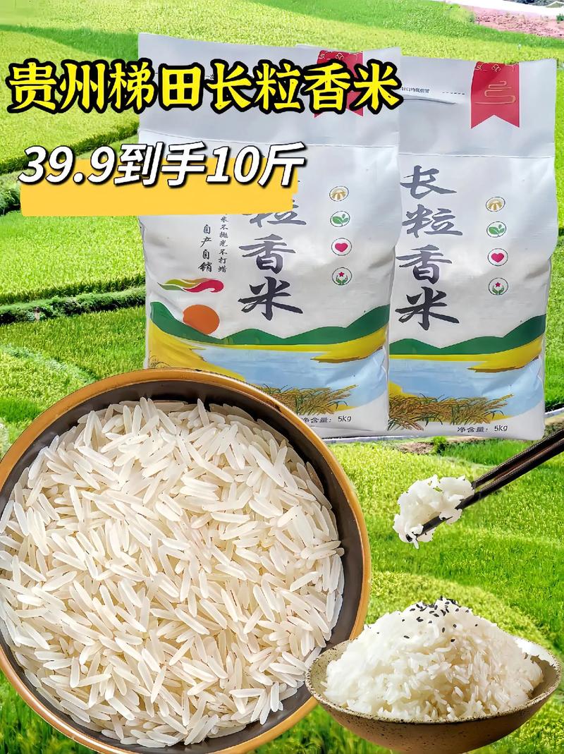 抖音很火的香米是什么米