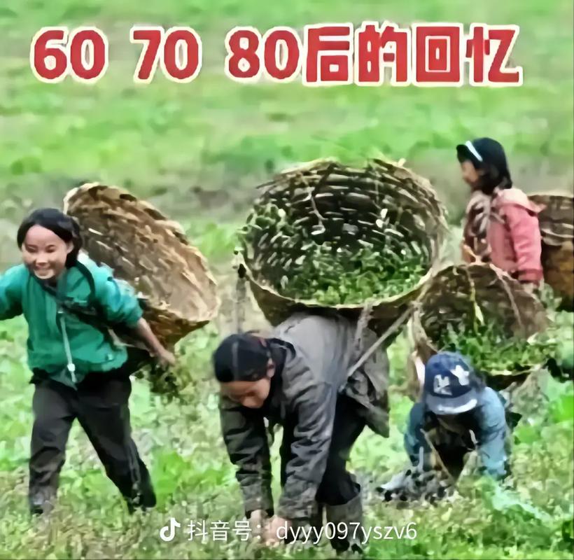 抖音小视频80后是什么