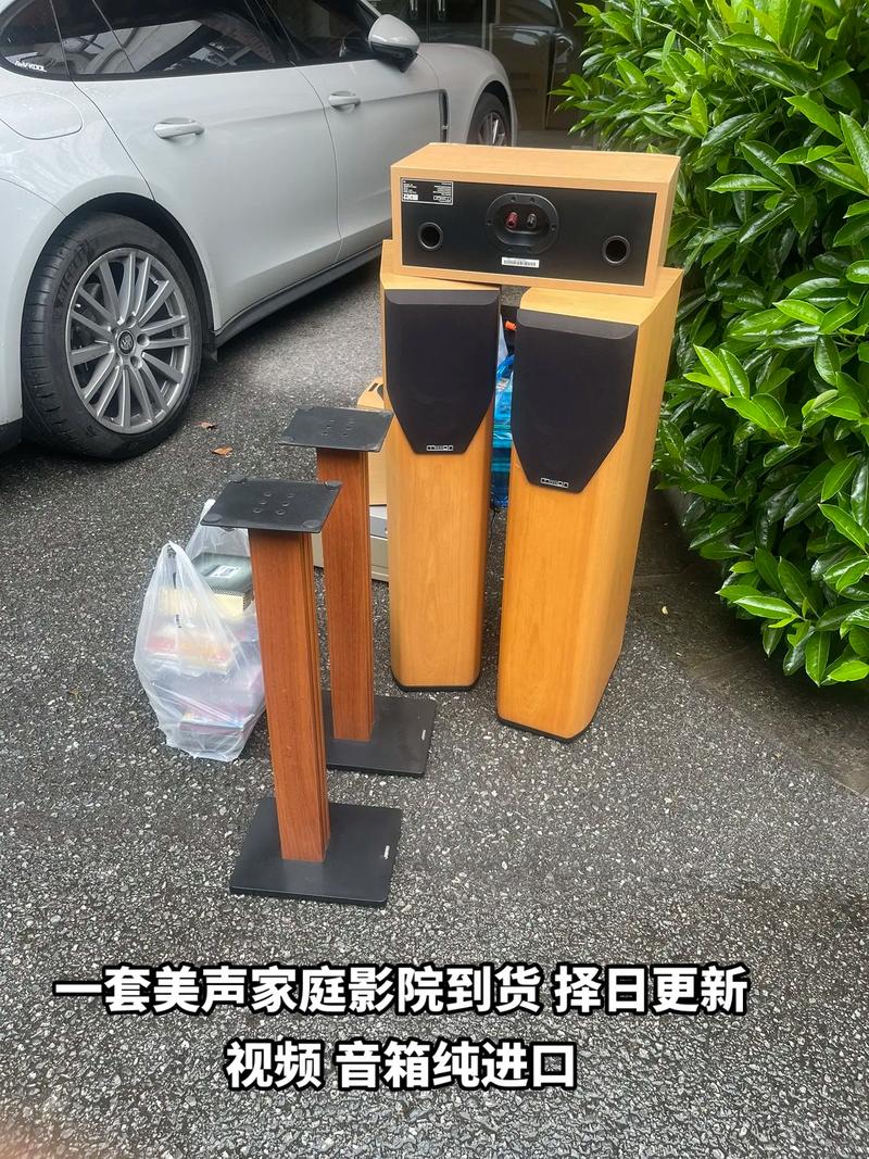 音箱上的抖音是什么意思