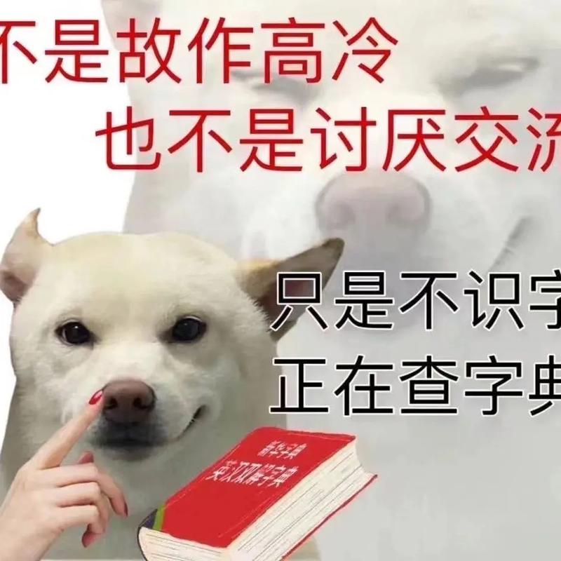 前年抖音最火的梗是什么