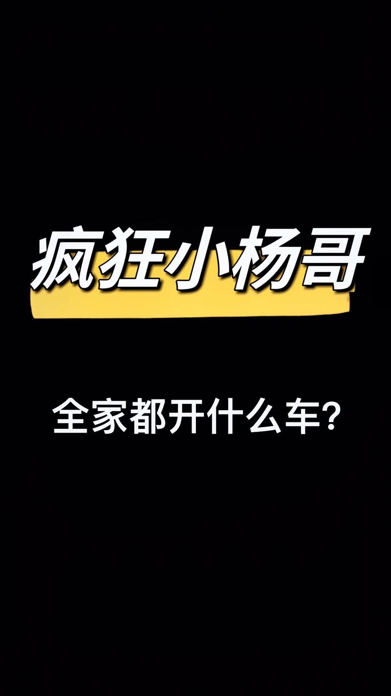 抖音八思美开的什么车
