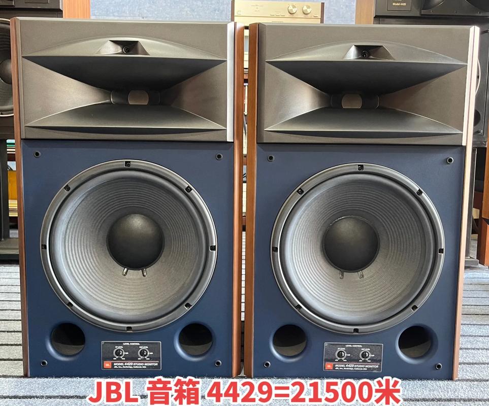 音箱上的抖音是什么意思