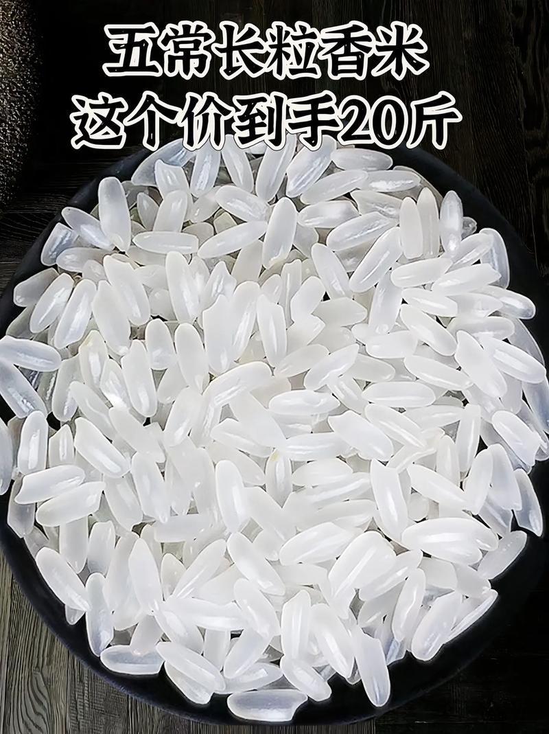 抖音很火的香米是什么米