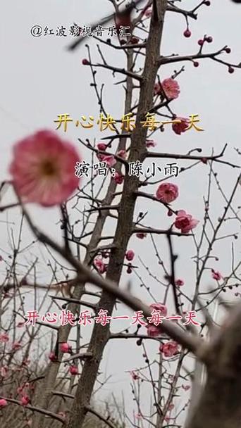 抖音快乐每一天什么歌