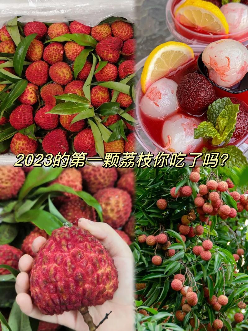 抖音一颗荔枝呀什么梗
