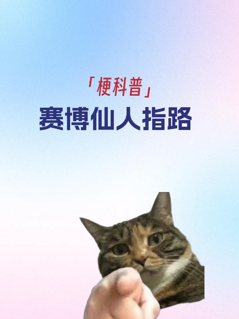 前年抖音最火的梗是什么