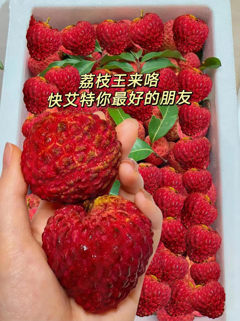 抖音一颗荔枝呀什么梗