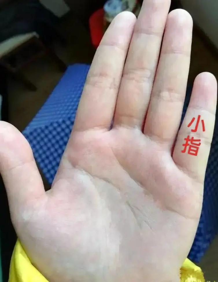 抖音金小指是什么意思啊