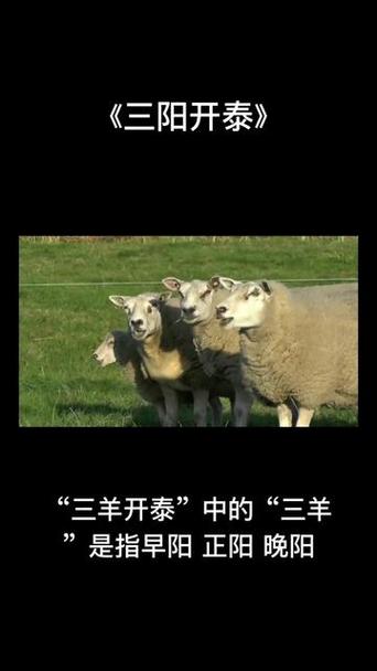 抖音三羊开泰是什么意思