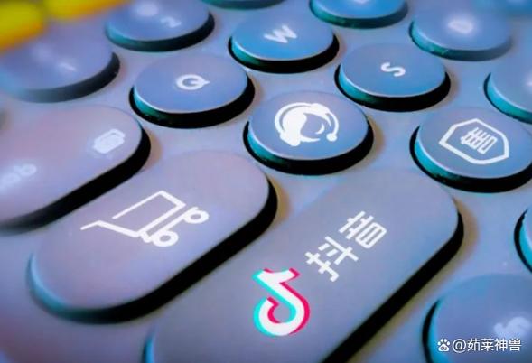 抖音转化目标是什么样的