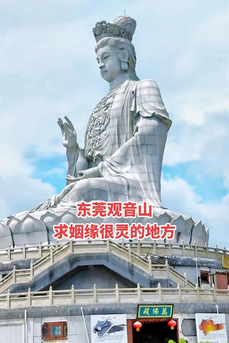 抖音里一山高是什么歌
