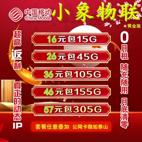 枣强19.9流量卡