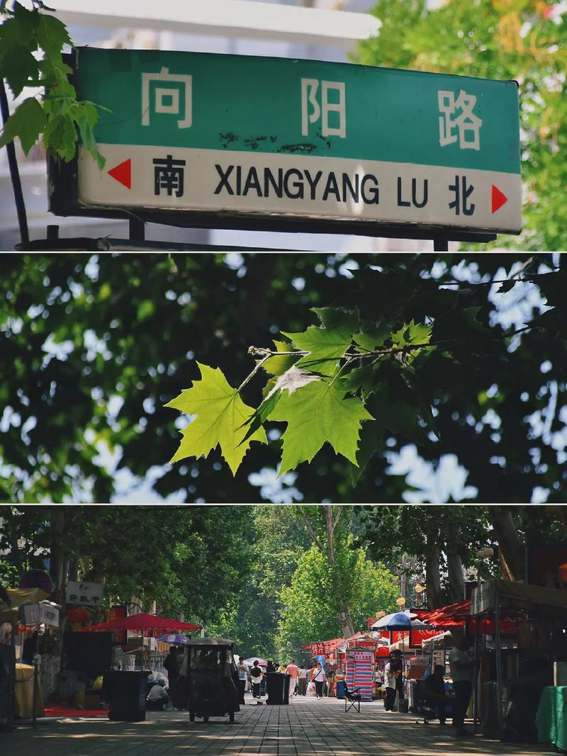 拍抖音要去拍什么地方呢