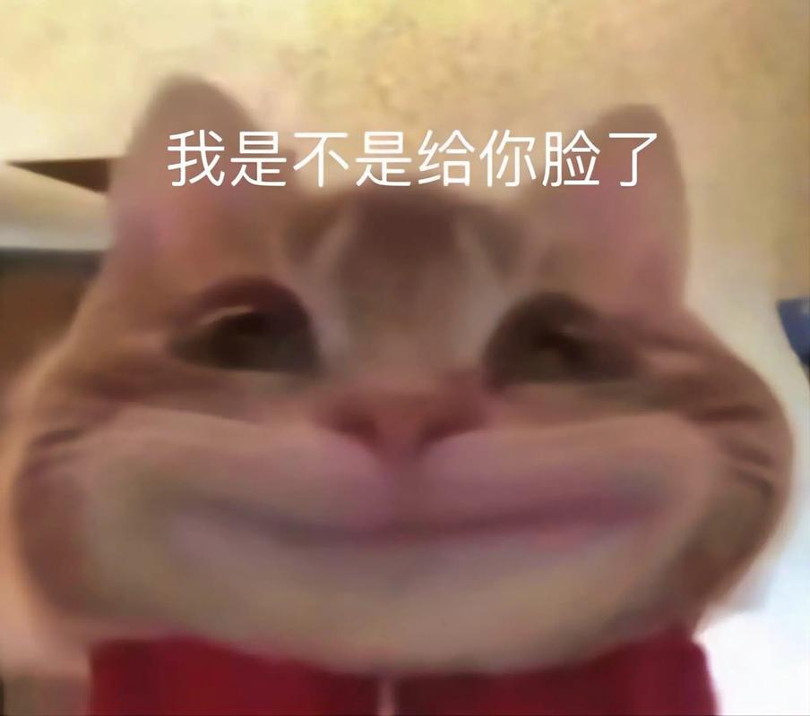沙雕小姐姐抖音号叫什么