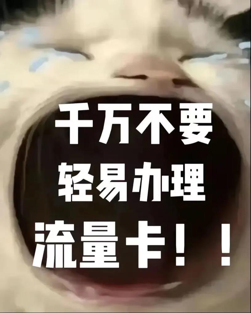办理流量卡语录