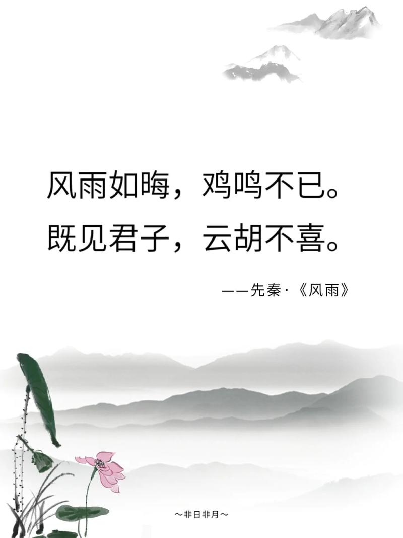 抖音风雨一生是什么歌