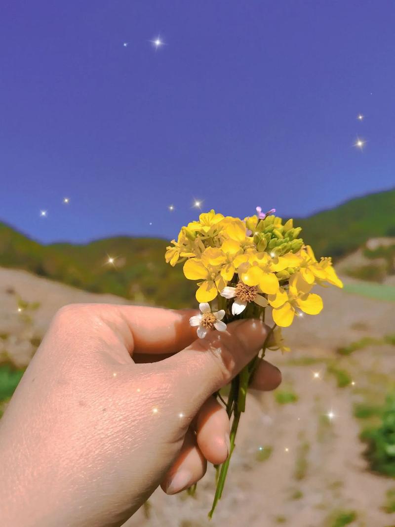 抖音道具小黄花什么意思
