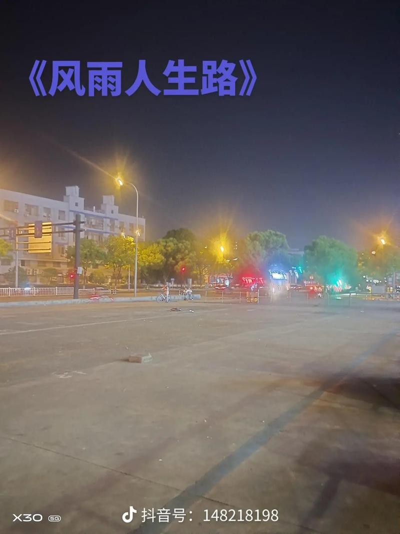 抖音风雨一生是什么歌