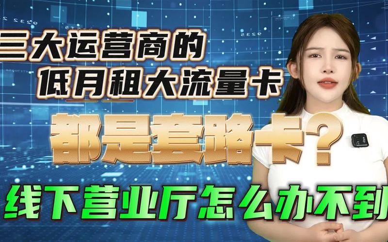 流量卡运营公司