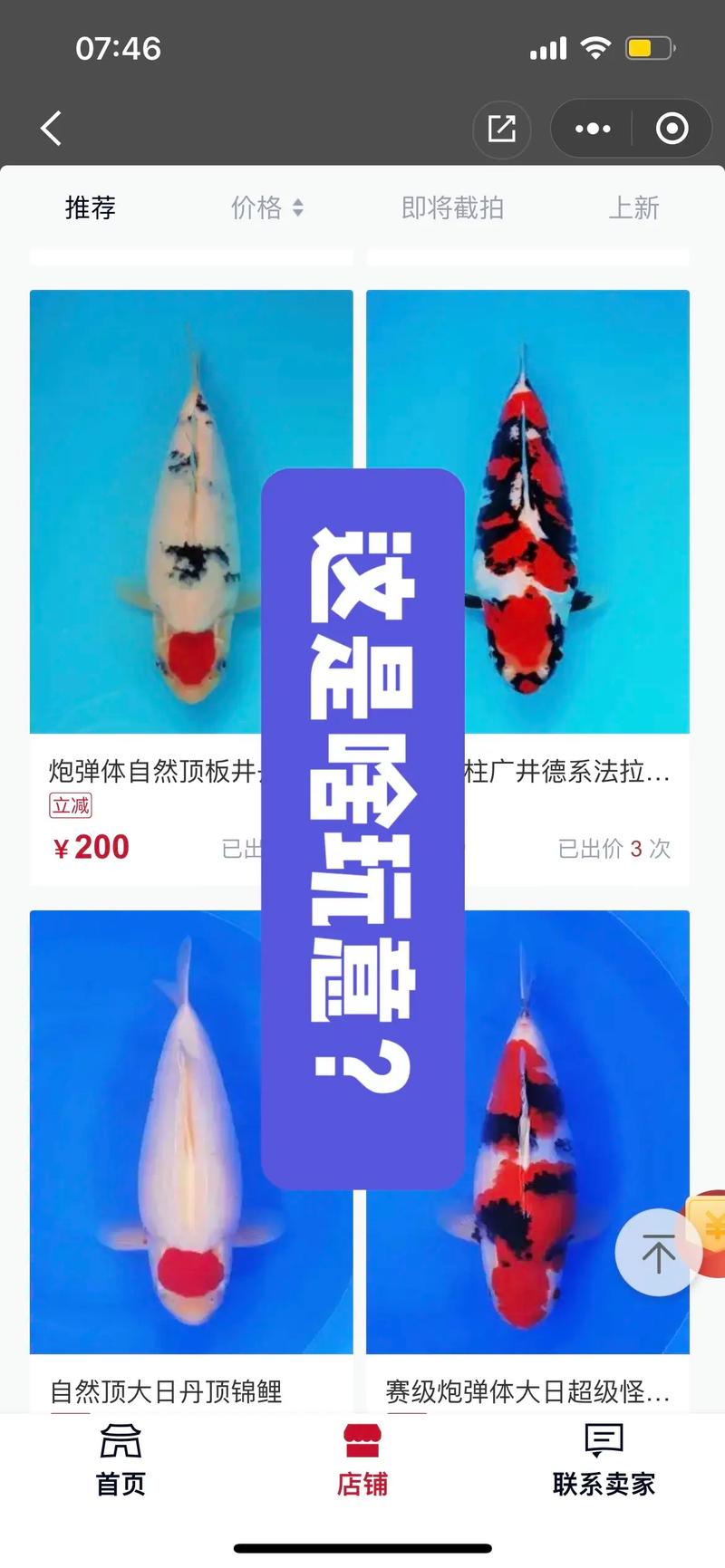 支付宝锦鲤抖音号是什么