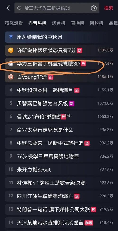 抖音做榜一是做什么