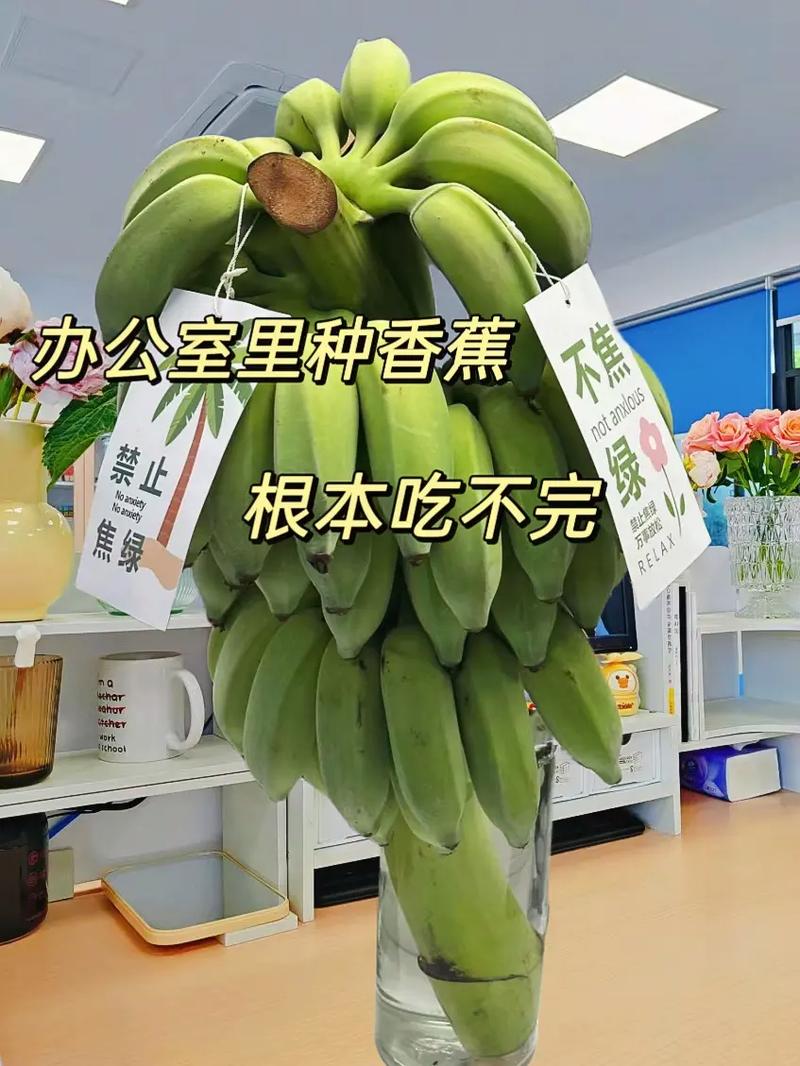 抖音绿香蕉是什么意思啊