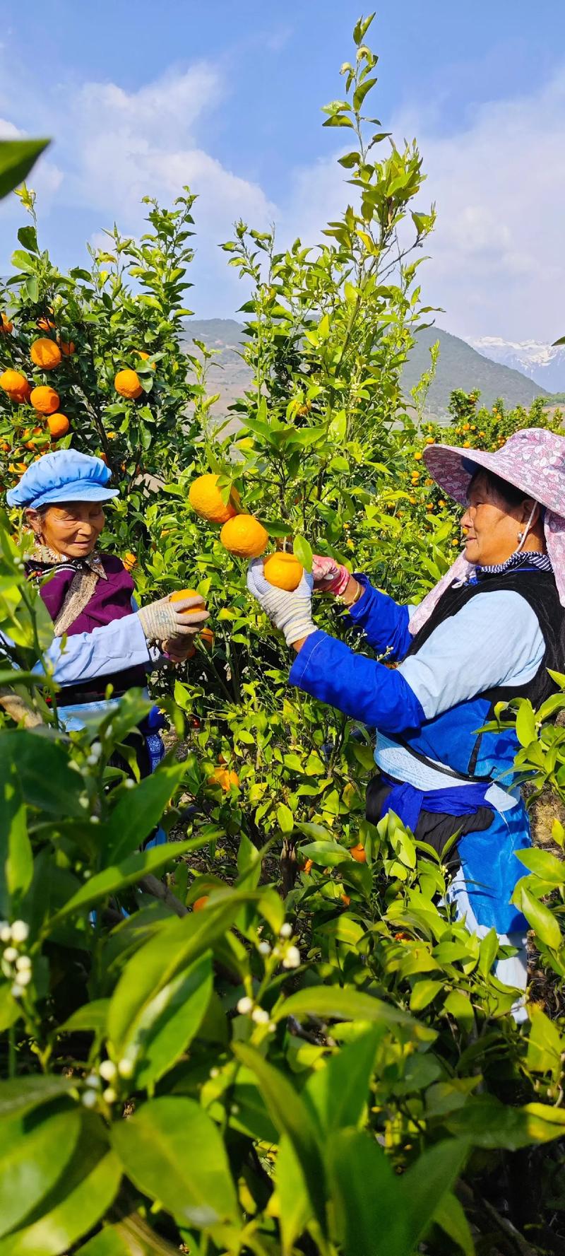 抖音上的原生态是什么