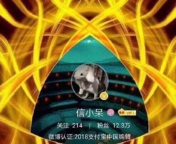 支付宝锦鲤抖音号是什么