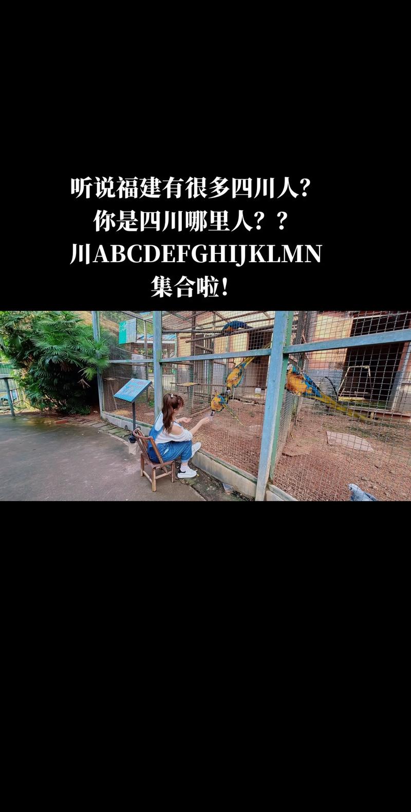 抖音上火的成都人叫什么