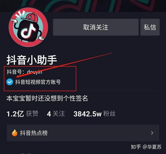 抖音个人账号长什么样的