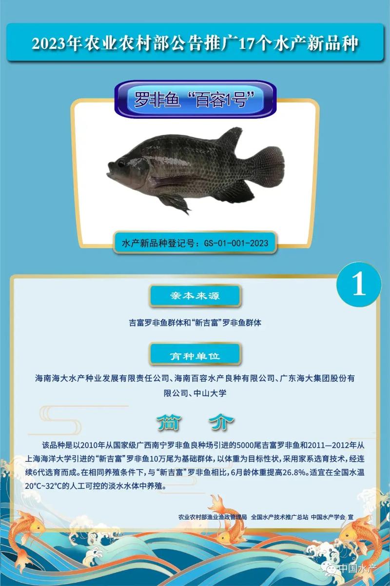 抖音蓝号养殖的需要什么