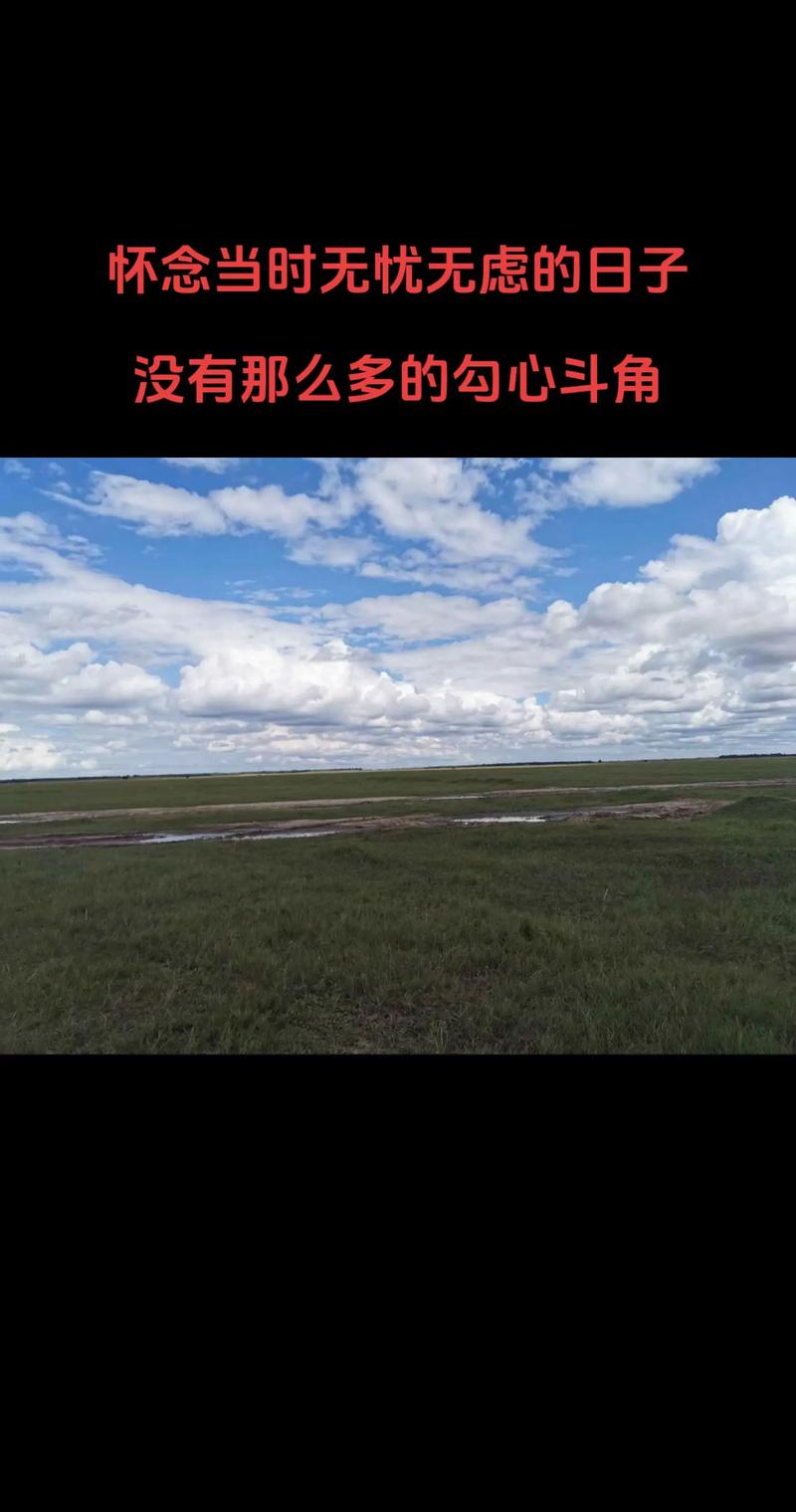 抖音哥弟吃饭的歌叫什么