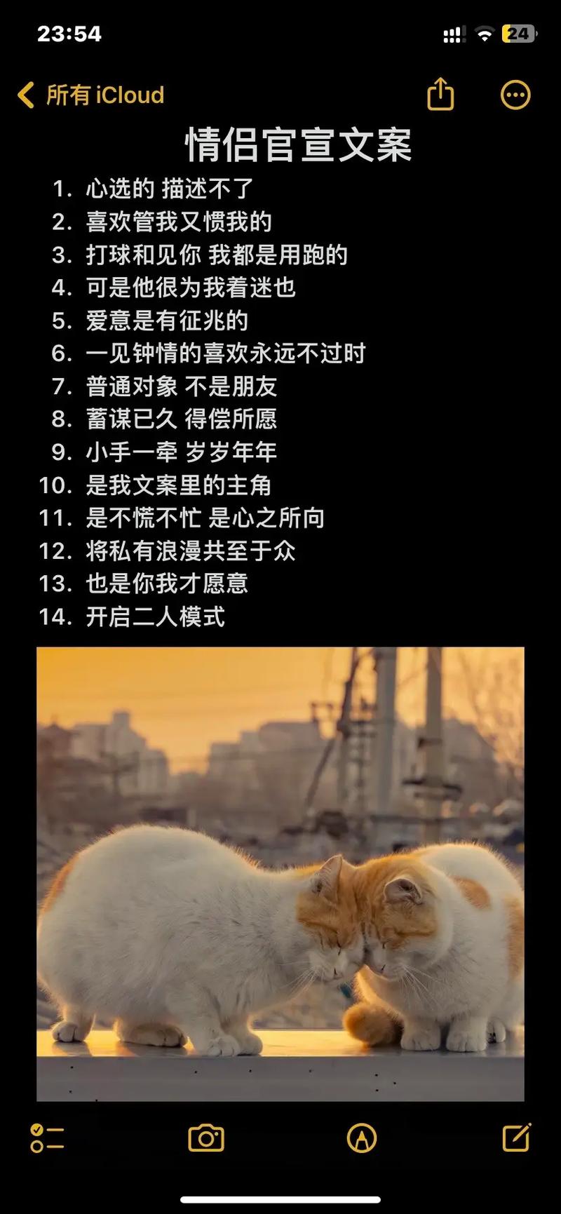情侣两人拍什么抖音文案