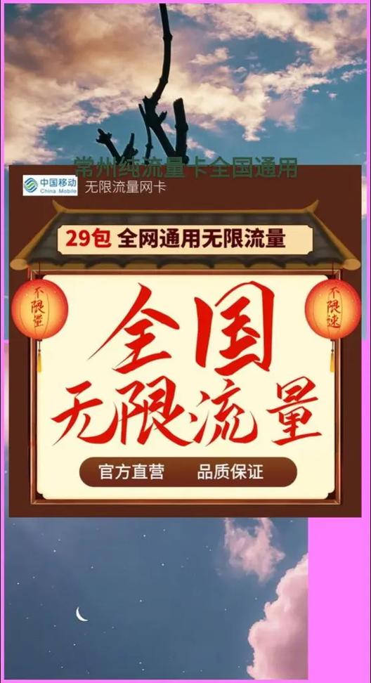 2019纯流量卡
