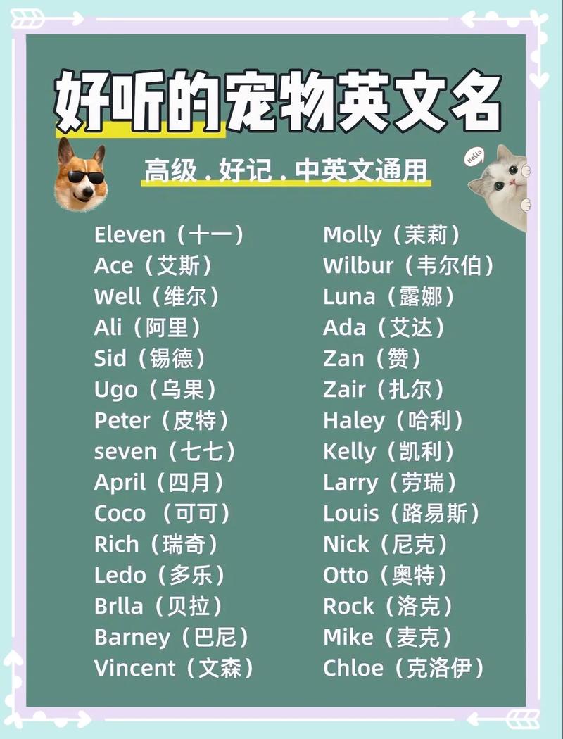 为什么抖音英文名改不了