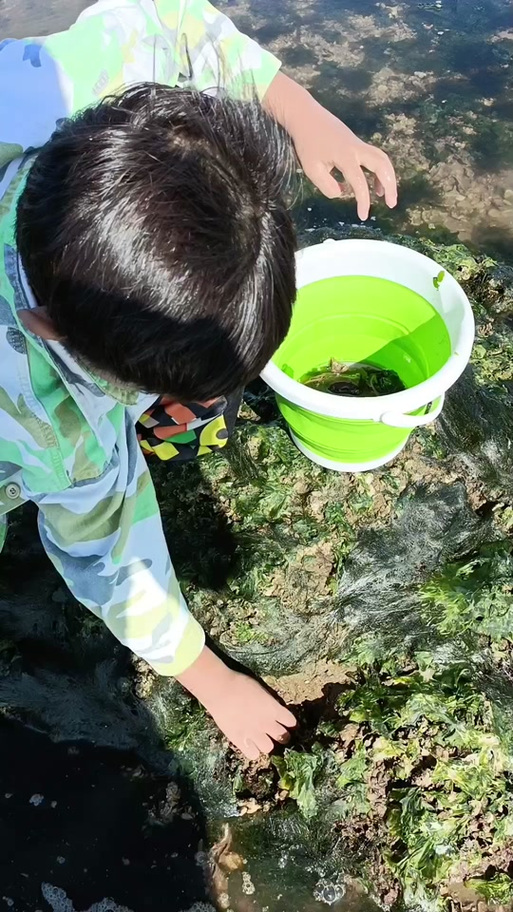 抖音捉八爪鱼什么意思