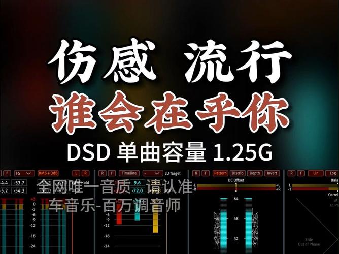 抖音版最伤心的歌叫什么