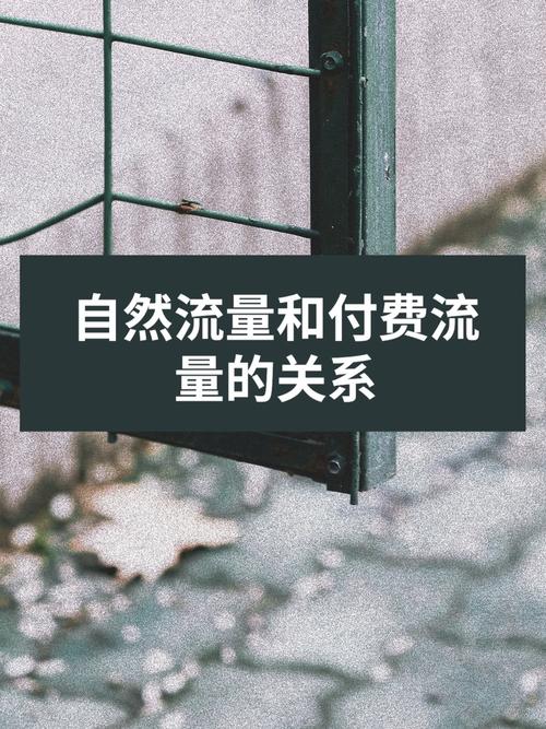 抖音的流量意味着什么呢