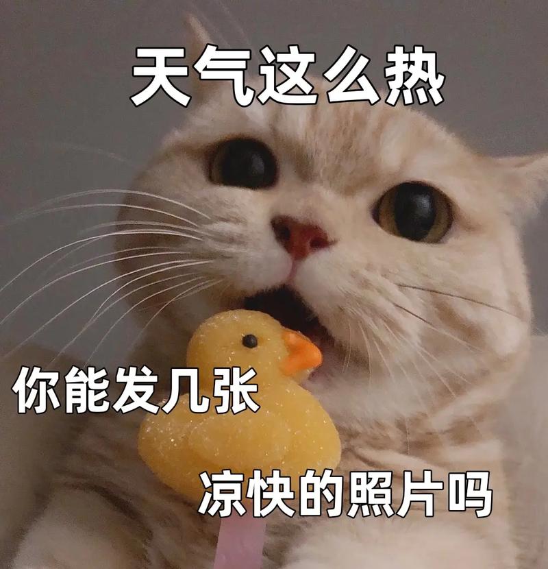 天热在家拍个抖音玩什么