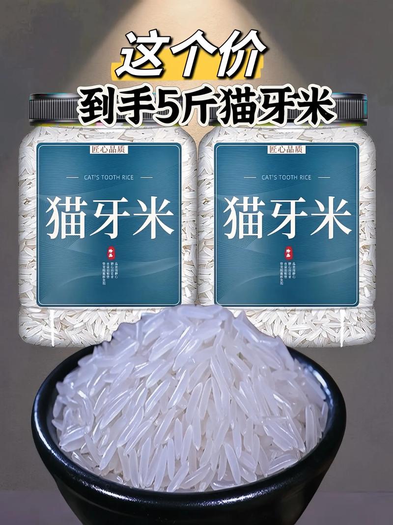 抖音猫牙用什么做的音乐