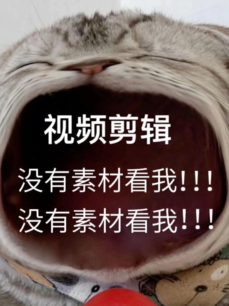 抖音剪辑的人叫什么人