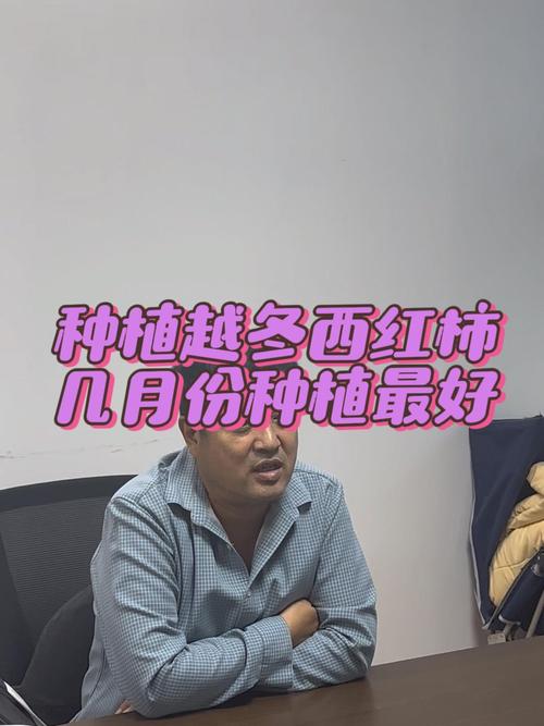 抖音里新农人是什么意思