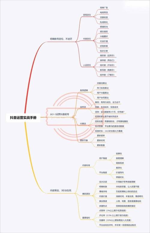 什么样账号做抖音流量大