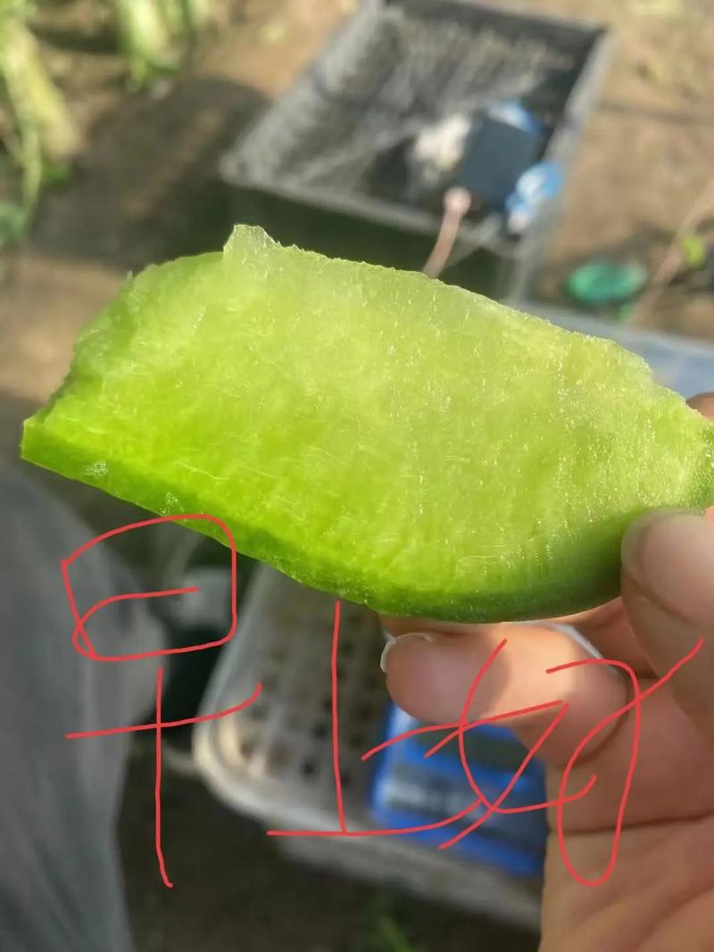 抖音奖励一根萝卜是什么