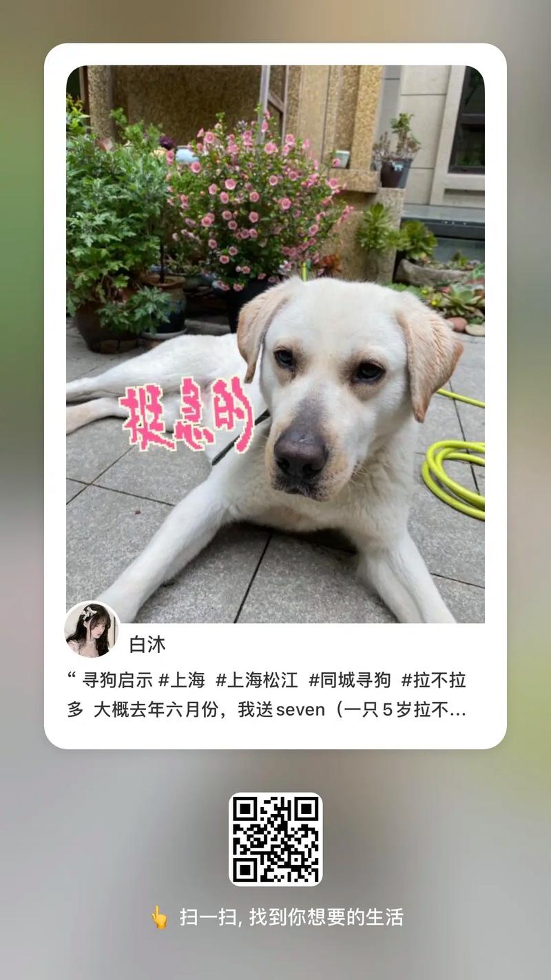 抖音搜同城找狗什么意思