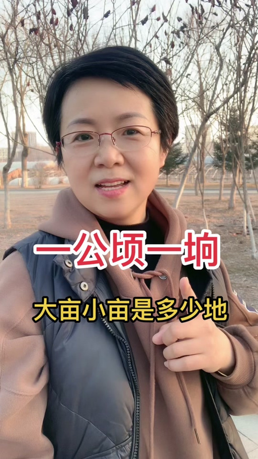 抖音大亩灵是什么意思