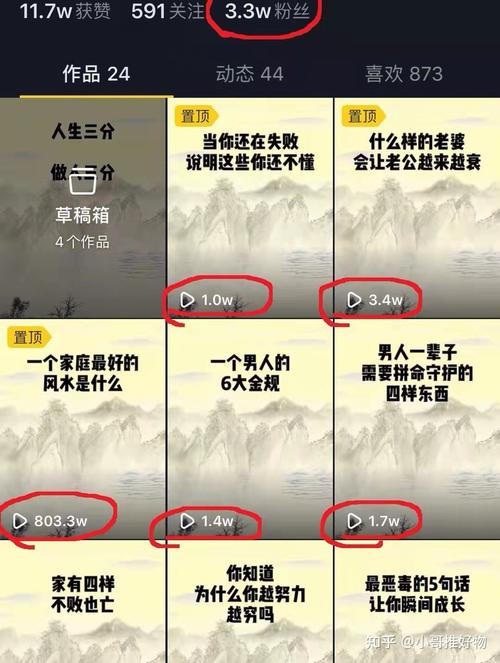 抖音查看播放量有什么用