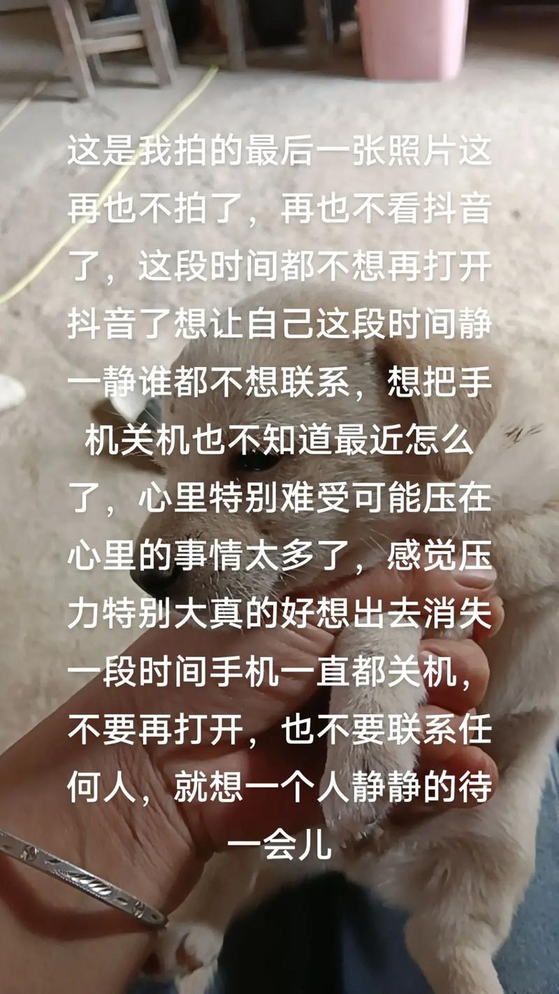 为什么我不能拍抖音了呢