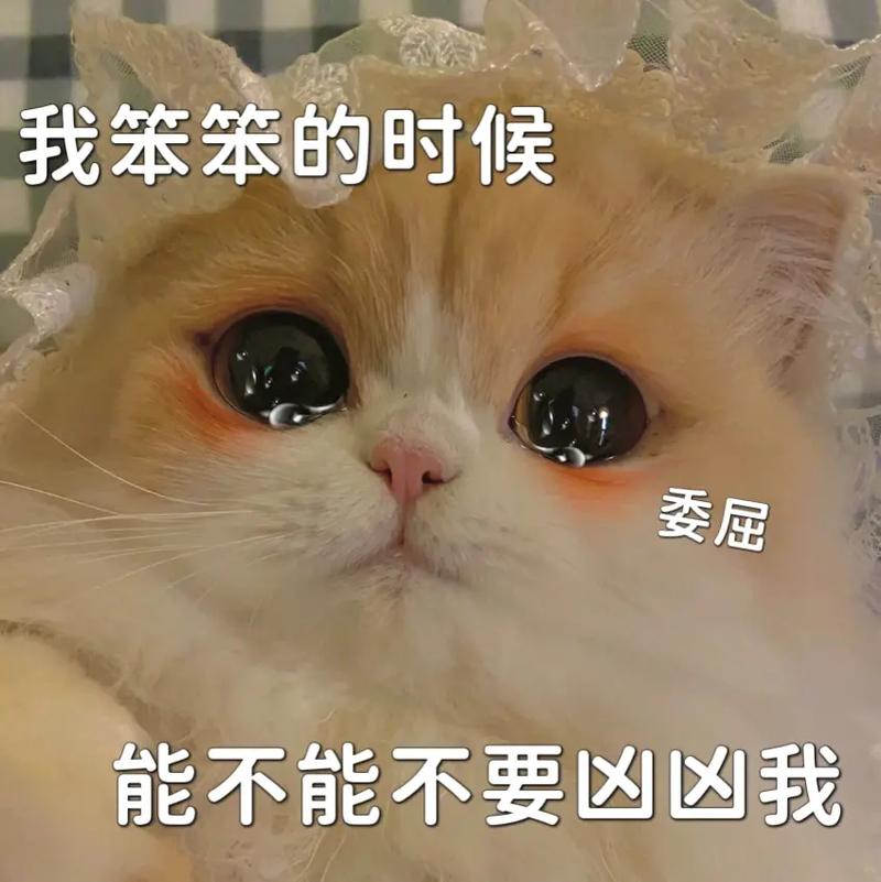 抖音里叫笨笨什么意思啊